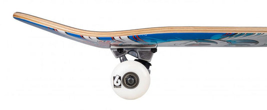 Skateboard wheel detail Birdhouse
Hawk Spiral