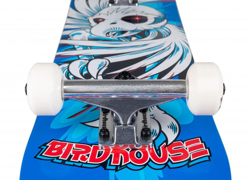 Skateboard truck detail Birdhouse Hawk Spiral