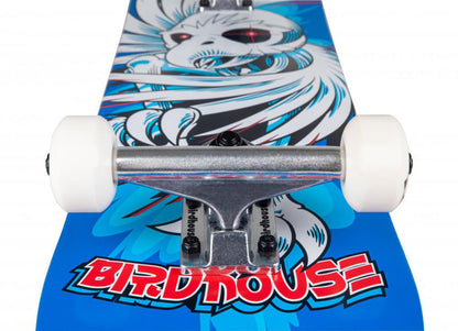 Skateboard truck detail Birdhouse Hawk Spiral