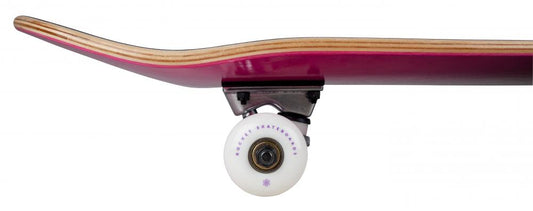 Skateboard particular