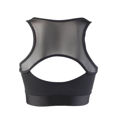 Icenonice  top ck902 - Original Sport